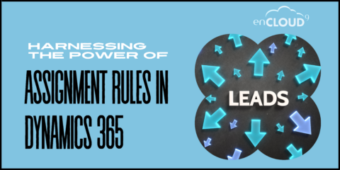Lead Assignment | Dynamics 365 | enCloud9