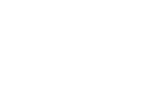 World Import Distributors Logo